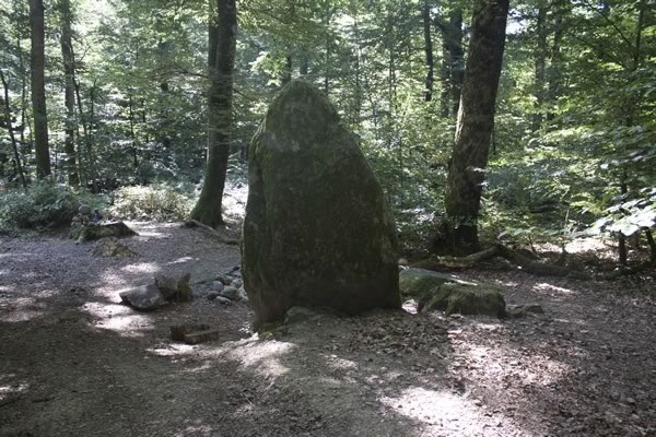 grand menhir de la foret du devens