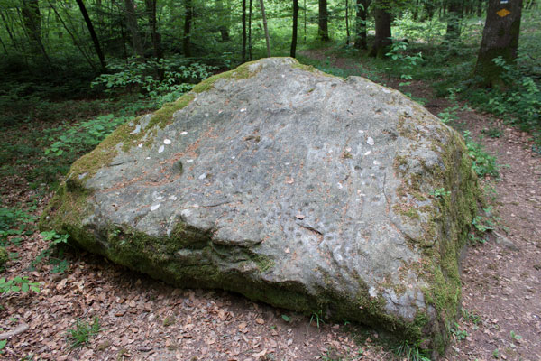 cromlech vue nord-est