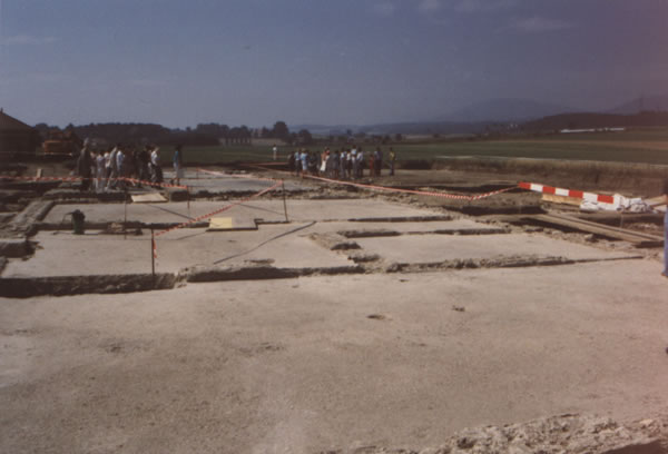 Rooms with terrazzo ground