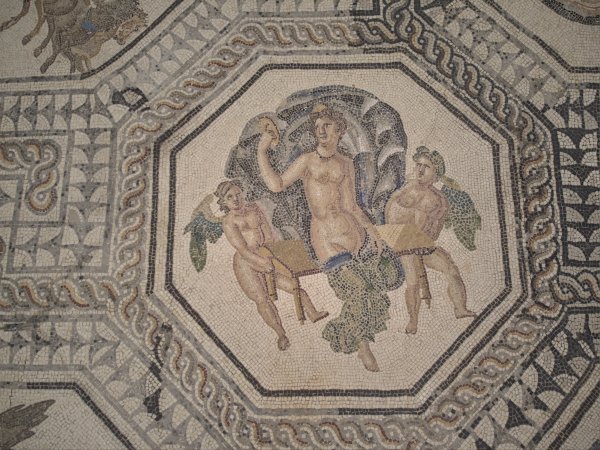 Mosaic 8: Venus
